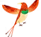 Colorful Bird